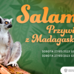 Salamo! Przywitanie z Madagaskarem – warsztaty dla dzieci