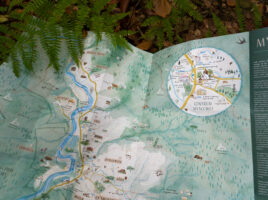 zdjęcie rozłożonej mapy Myscowej z liściem paproci