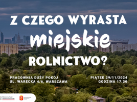 Zdjęcie przedstawia ogródki działkowe z warszawskimi wieżowcami i blokami.