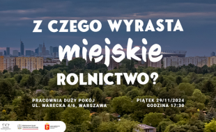 Zdjęcie przedstawia ogródki działkowe z warszawskimi wieżowcami i blokami.